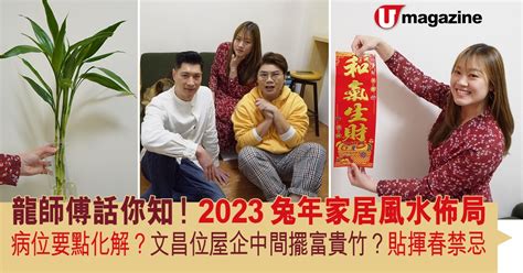 2023富貴竹方位|2023兔年家居風水佈局 龍師傅話你知！ 病位要點化。